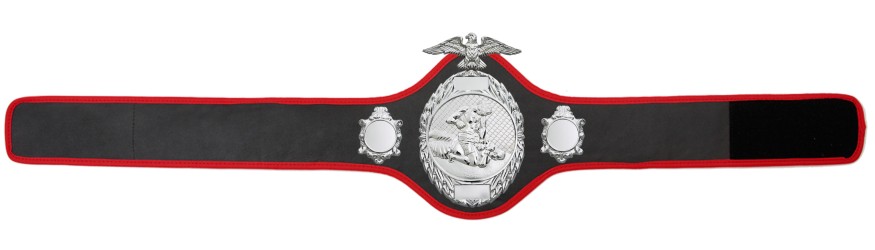 MMA CHAMPIONSHIP BELT- PRO288/S/MMAS - 10 COLOURS MMA CHAMPIONSHIP BELT- PRO288/S/MMAS - 10 COLOURS